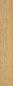 Preview: Atlantic 7 7ATK629PP Gold Fiordaliso Oak