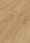 Preview: Atlantic 8 K326 Sundance Oak