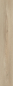 Preview: Atlantic 8 K653 Ecru Cantal Oak
