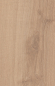 Preview: Atlantic 8 8ATK788PP Beige Parioli Oak