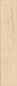 Preview: Durastar Silent Eco 13+1DSWBK844KO Cream Darcy Oak