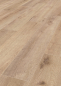 Preview: Flex Silent Cork K501 Sand River Oak