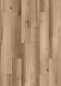 Preview: Flex Silent Cork K507 Hazel Range Oak