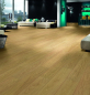 Preview: Atlantic 7 7ATK629PP Gold Fiordaliso Oak