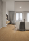 Preview: Rocko Wide Plank Silent R233 Caramel Regis Oak