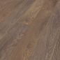 Preview: Durastar Silent Eco 8+1DSHBK843KO Natural Darcy Oak