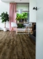 Preview: Krono Atlantic 8 K461 Antique Volcano Oak, (NL)