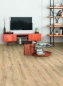 Preview: Krono Atlantic 8 K469 Tortilla Cashmere Oak, (NL)