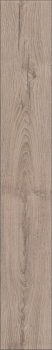 Preview: Atlantic 8/33 8ATK478PP33 Mushroom Carpenter Oak