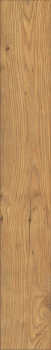 Preview: Atlantic 10 5537 Tawny Chestnut