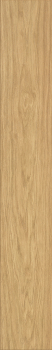 Preview: Atlantic 7 7ATK629PP Gold Fiordaliso Oak