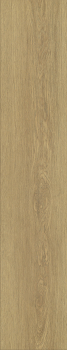 Preview: Atlantic 7 7ATWBK649PP Sienna Montreux Oak