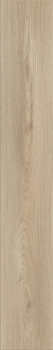 Preview: Atlantic 8 K653 Ecru Cantal Oak