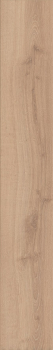 Preview: Atlantic 8 8ATK788PP Beige Parioli Oak