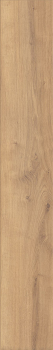 Preview: Atlantic 8 8ATK855PP Antique Parioli Oak