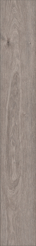 Preview: Classic 8ORK395PP Tornado Oak