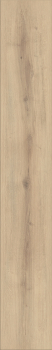 Preview: Clever K063 Organic Oak
