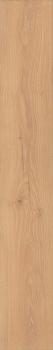 Preview: Clever K853 Honey Ribera Oak