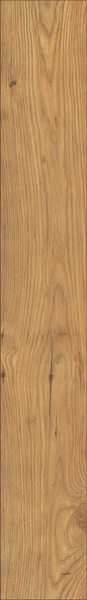Atlantic 10 5537 Tawny Chestnut