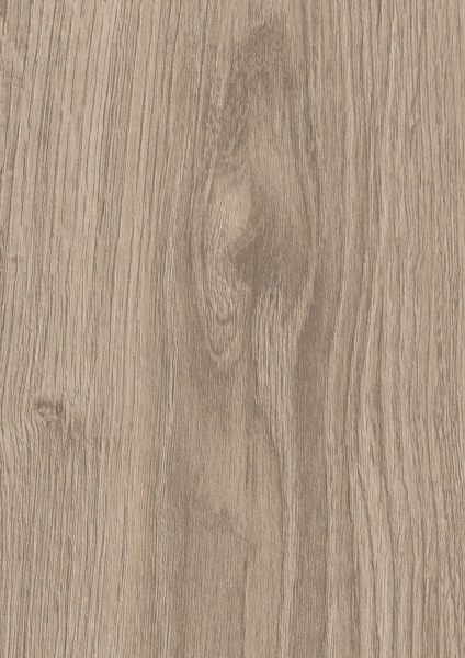 Atlantic 10 K478 Mushroom Carpenter Oak