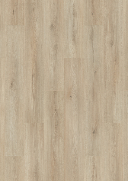 Atlantic 8 K653 Ecru Cantal Oak